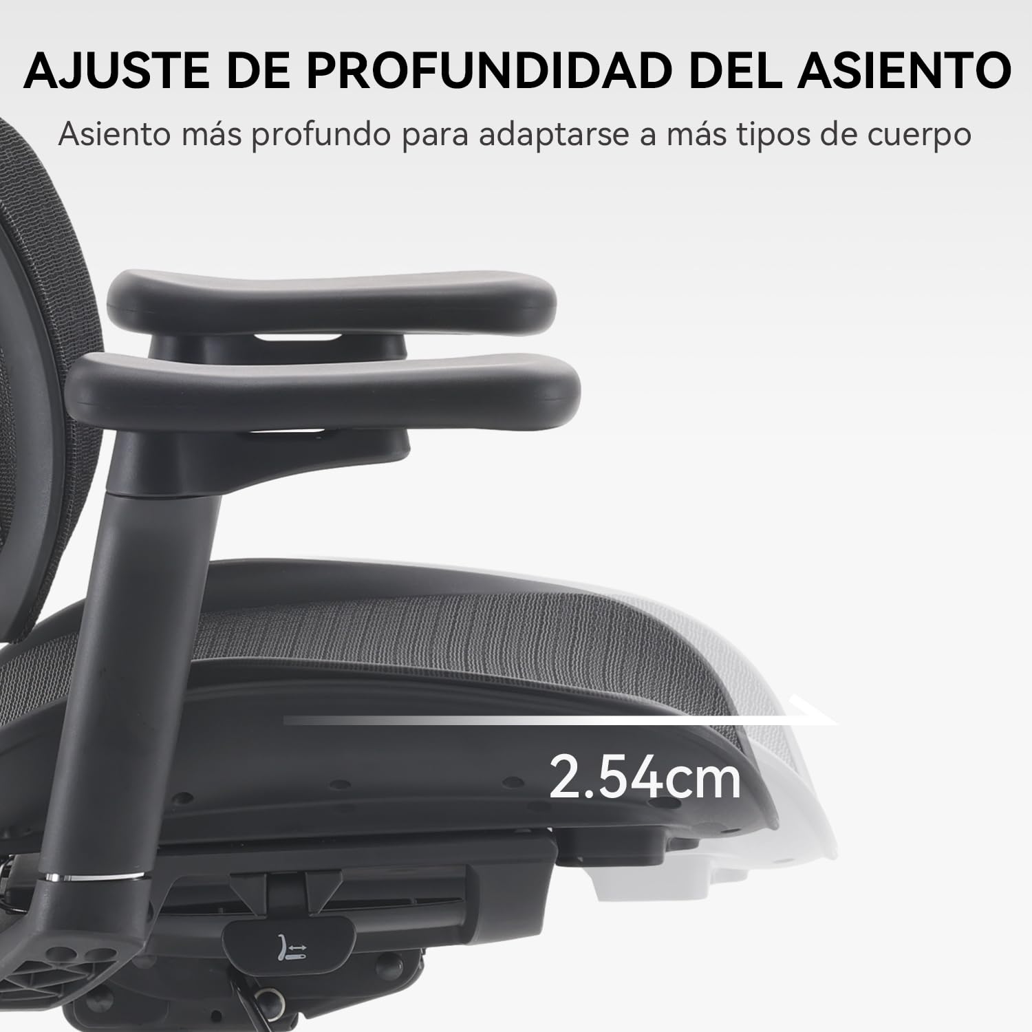 SIHOO Silla ergonómica de Oficina Doro S100 - con Soporte Lumbar dinámico Dual, Respaldo Ajustable en 5 Niveles, reposabrazos coordinados en 4D Adecuada para la Oficina en casa (S100 Negro)