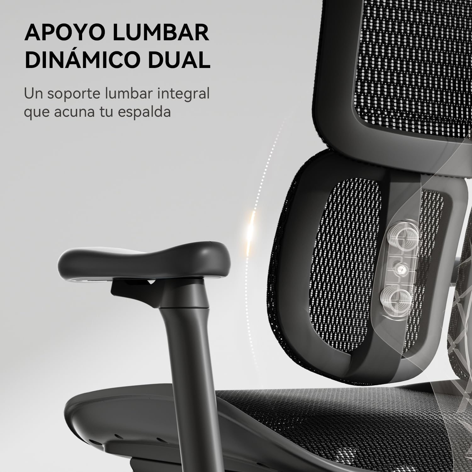 SIHOO Silla ergonómica de Oficina Doro S100 - con Soporte Lumbar dinámico Dual, Respaldo Ajustable en 5 Niveles, reposabrazos coordinados en 4D Adecuada para la Oficina en casa (S100 Negro)
