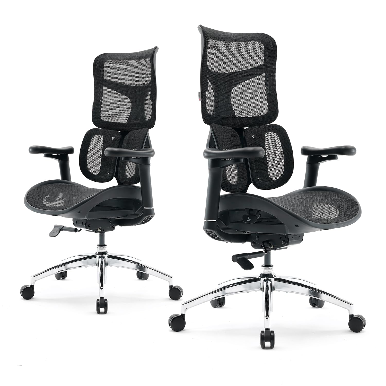 SIHOO Silla ergonómica de Oficina Doro S100 - con Soporte Lumbar dinámico Dual, Respaldo Ajustable en 5 Niveles, reposabrazos coordinados en 4D Adecuada para la Oficina en casa (S100 Negro)